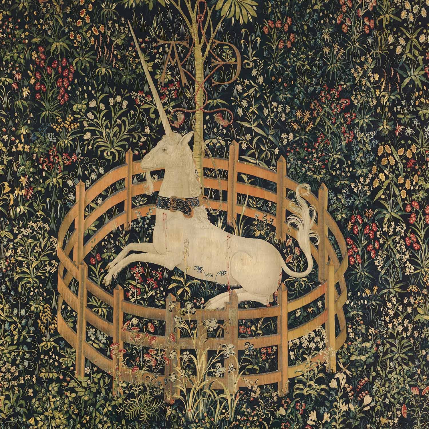 Cosa fare dopo il lancio?