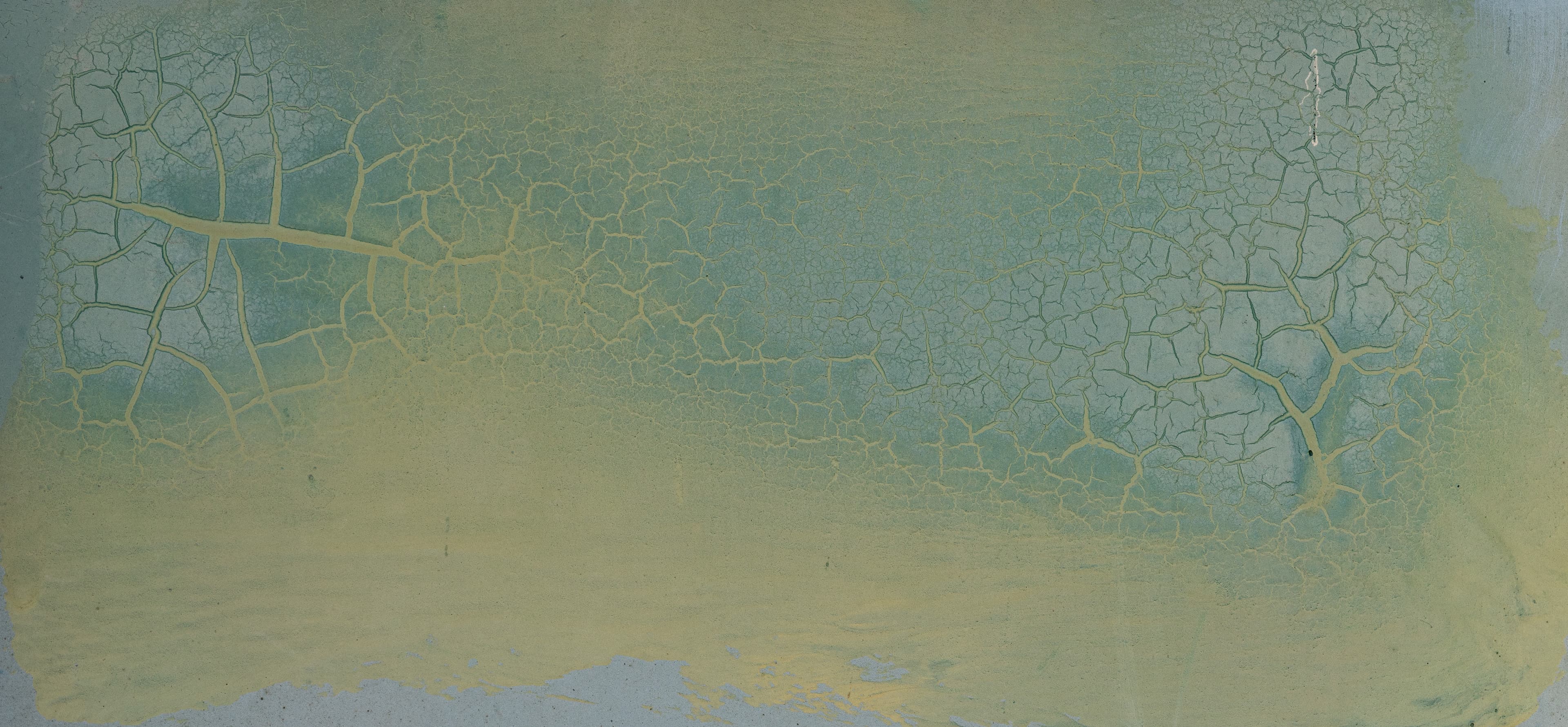 3 contenuti virali da provare questa settimana #12 ✨