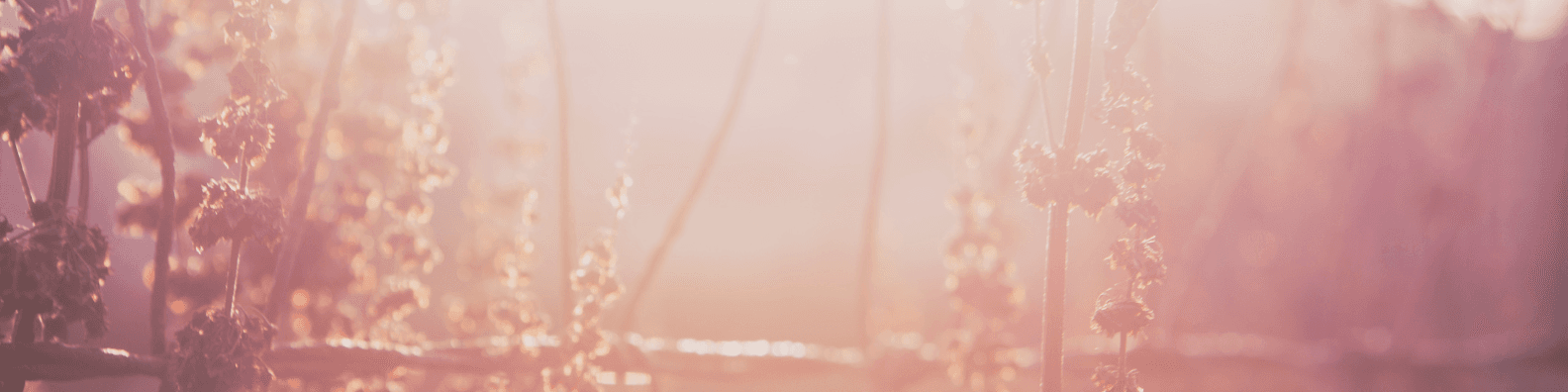 Primavera: il coraggio di tornare alla luce!