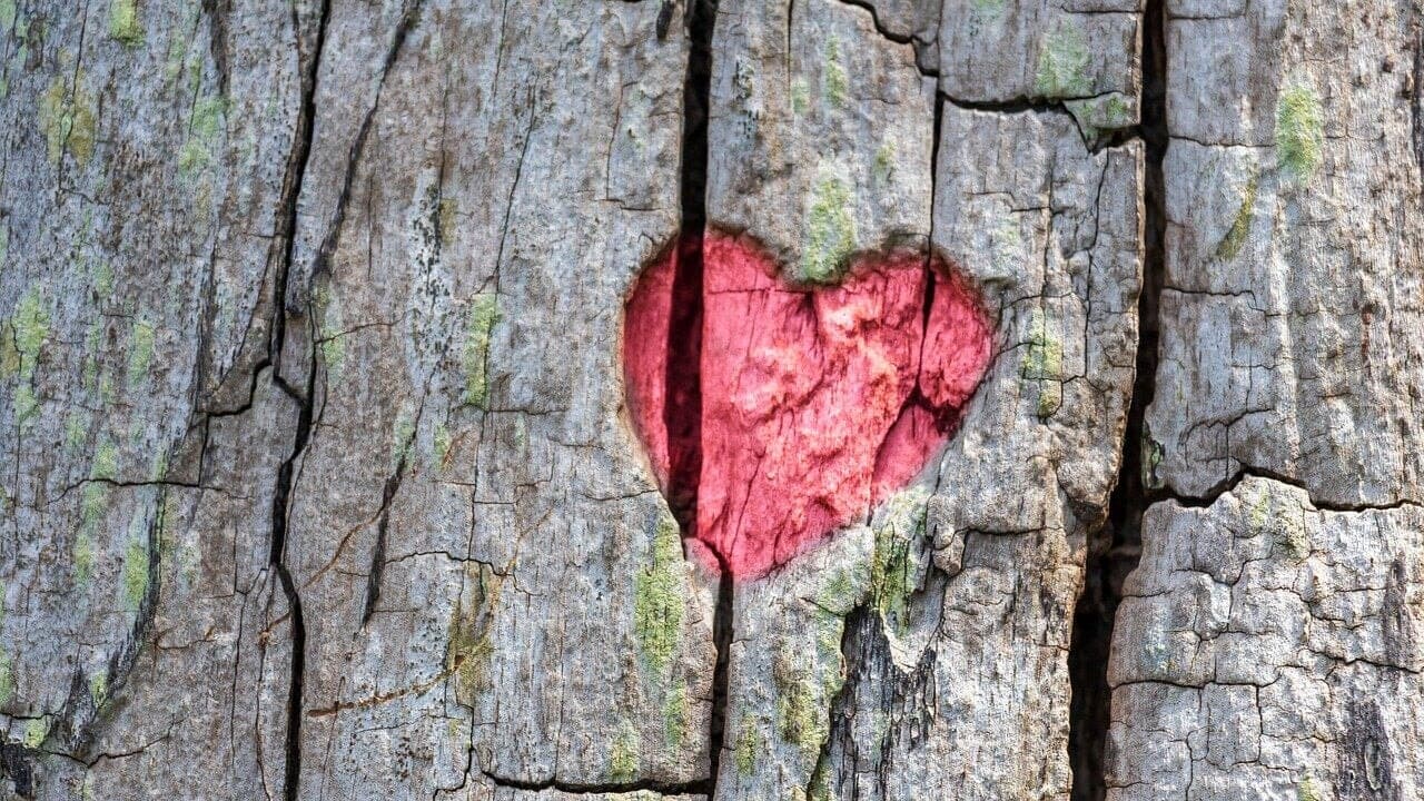 Il tradimento è tradire se stessi